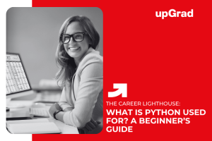 What Is Python Used For? A Beginner’s Guide