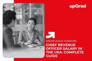 Chief Revenue Officer Salary in the USA: Complete Guide