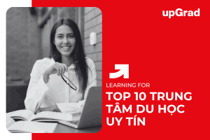 Top 10 trung tâm tư vấn du học Mỹ tốt nhất Việt Nam