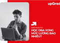 Học DBA Xong Mức Lương Bao Nhiêu?